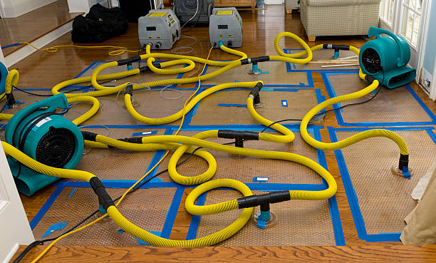 Professional Sewage Cleanup technician working in Felton, DE